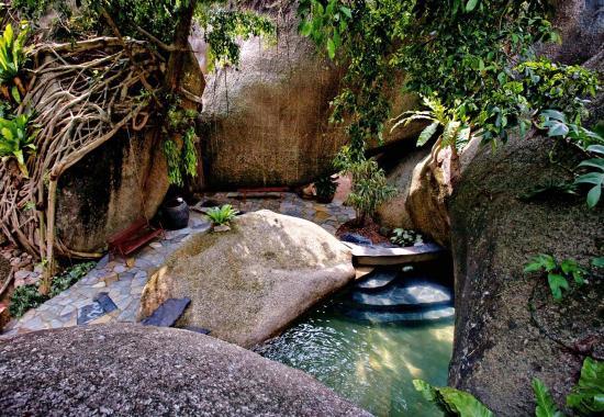 Tamarind Springs Forest Spa